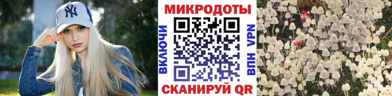 Галлюциногенные грибы Psilocybine cubensis  Новосибирск 